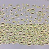 VJ COUPON - Punta di Roma+ 5351 PANEEL 120X140CM (SMD) VJ COUPON - Punta di Roma+ 5351 PANEEL 120X140CM (SMD)