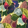 Punta di Roma+ 5603 - large design