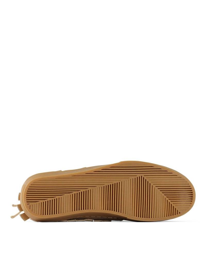 CLEAR WEATHER ONE-O-ONE IN OATMEAL GUM