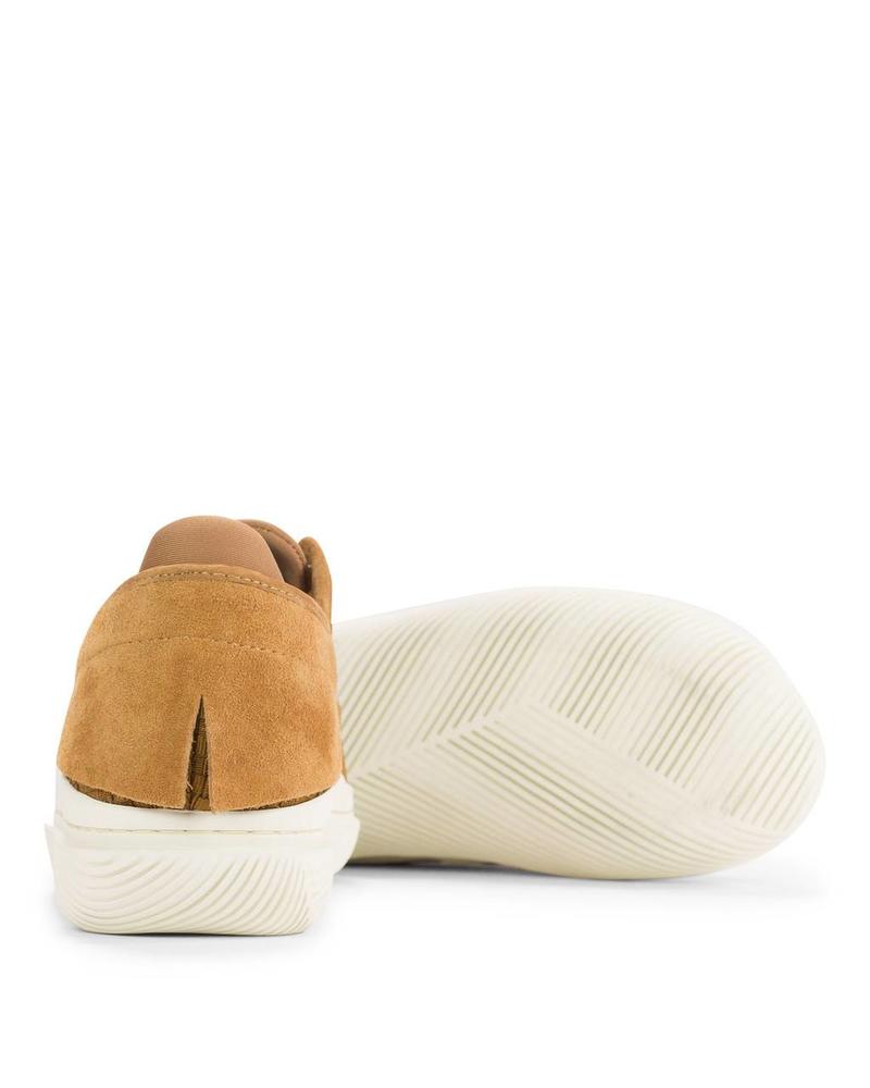 CLEAR WEATHER CONVX IN HONEY