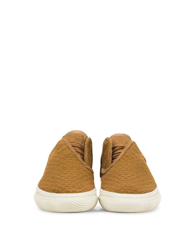 CLEAR WEATHER CONVX IN HONEY