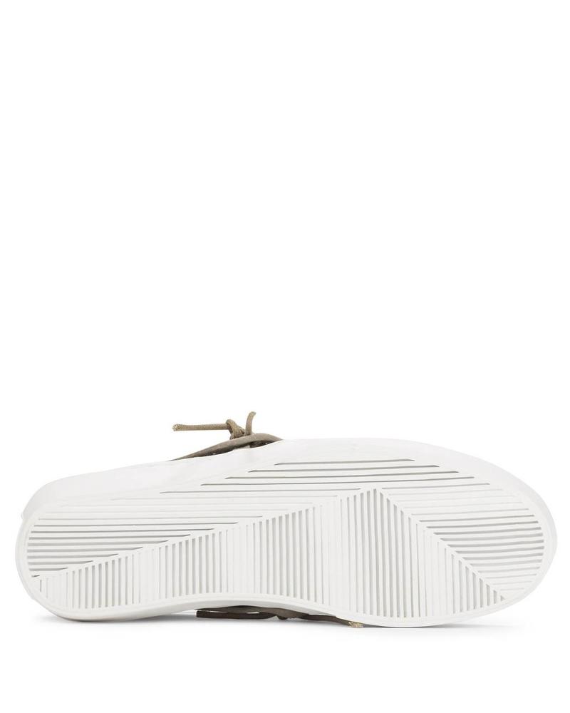 CLEAR WEATHER LAKOTA IN GOAT