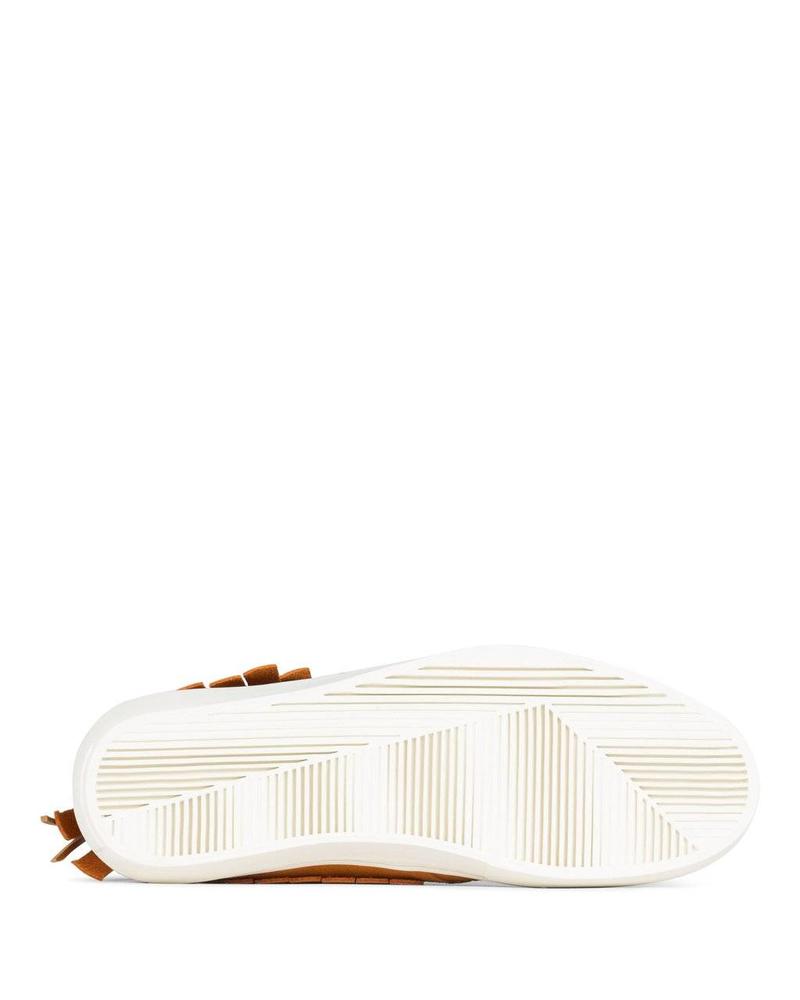 CLEAR WEATHER ONE-O-ONE IN DESERT SUN