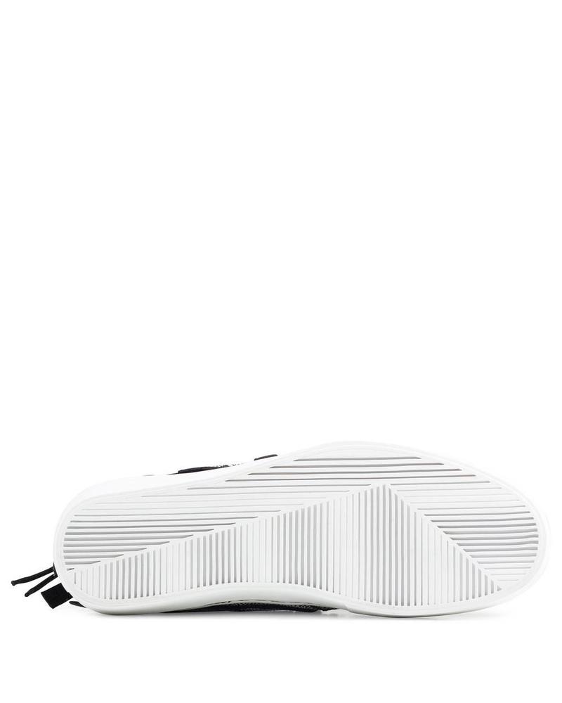 CLEAR WEATHER ONE-O-ONE STINGRAY