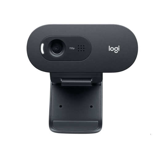 Logitech C505E HD WEBCAM