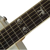 Fender Limited Edition Tim Armstrong HC