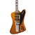 Gibson Skunk Baxter Firebird