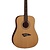 Dean Guitars TRADITIE AK48