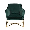 Aurelia Fauteuil Groen