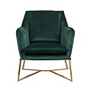 Aurelia Fauteuil Groen