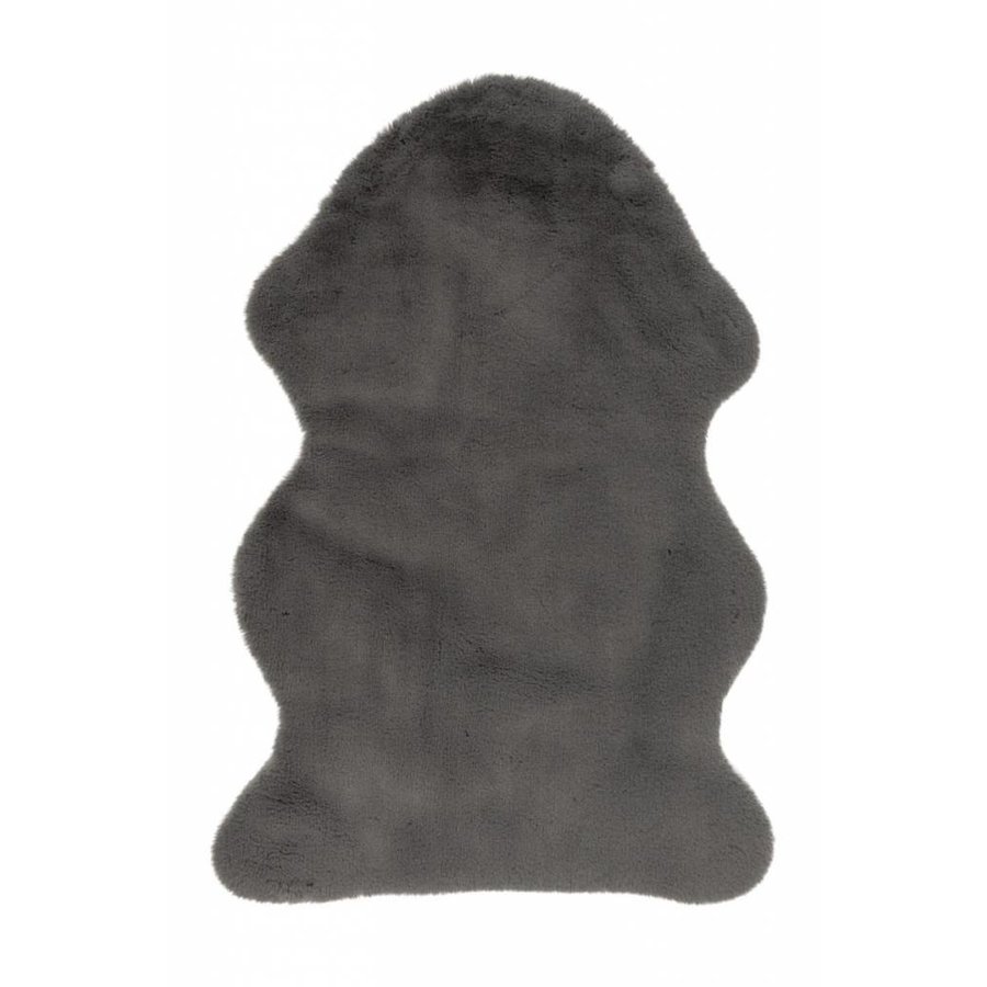 Cosy Vloerkleed 60 x 90 cm Grijs Cosy Vloerkleed 60 x 90 cm Grijs