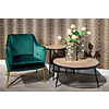 Aurelia Fauteuil Groen