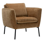 Sits Teddy 1-zits Bank Camel