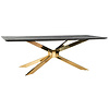 Blackbone Matrix Eettafel Goud 240x100