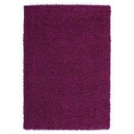 Funky Vloerkleed 240 x 340 cm Violet