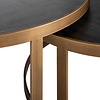 Blackbone Salontafel Set Geborsteld Goud