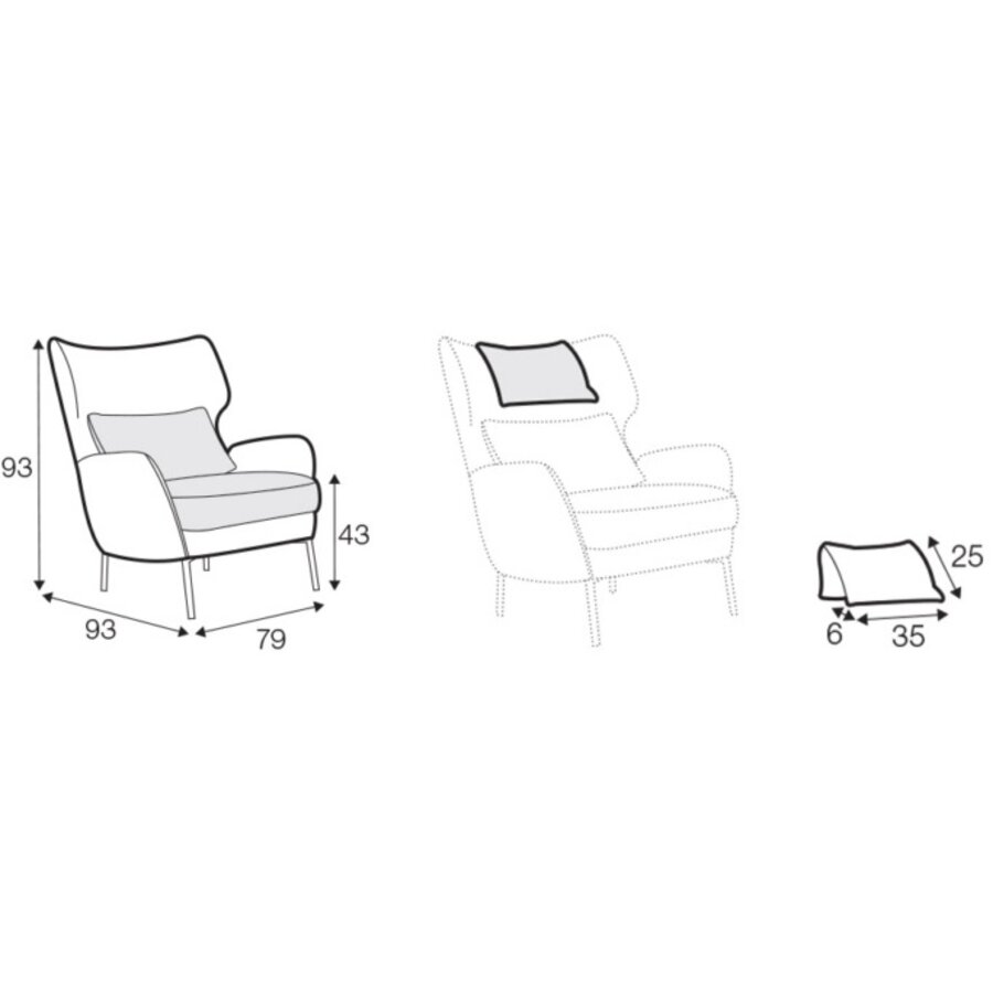 Alex Fauteuil Antraciet met Rug en Nek Kussen Alex Fauteuil Antraciet met Rug en Nek Kussen