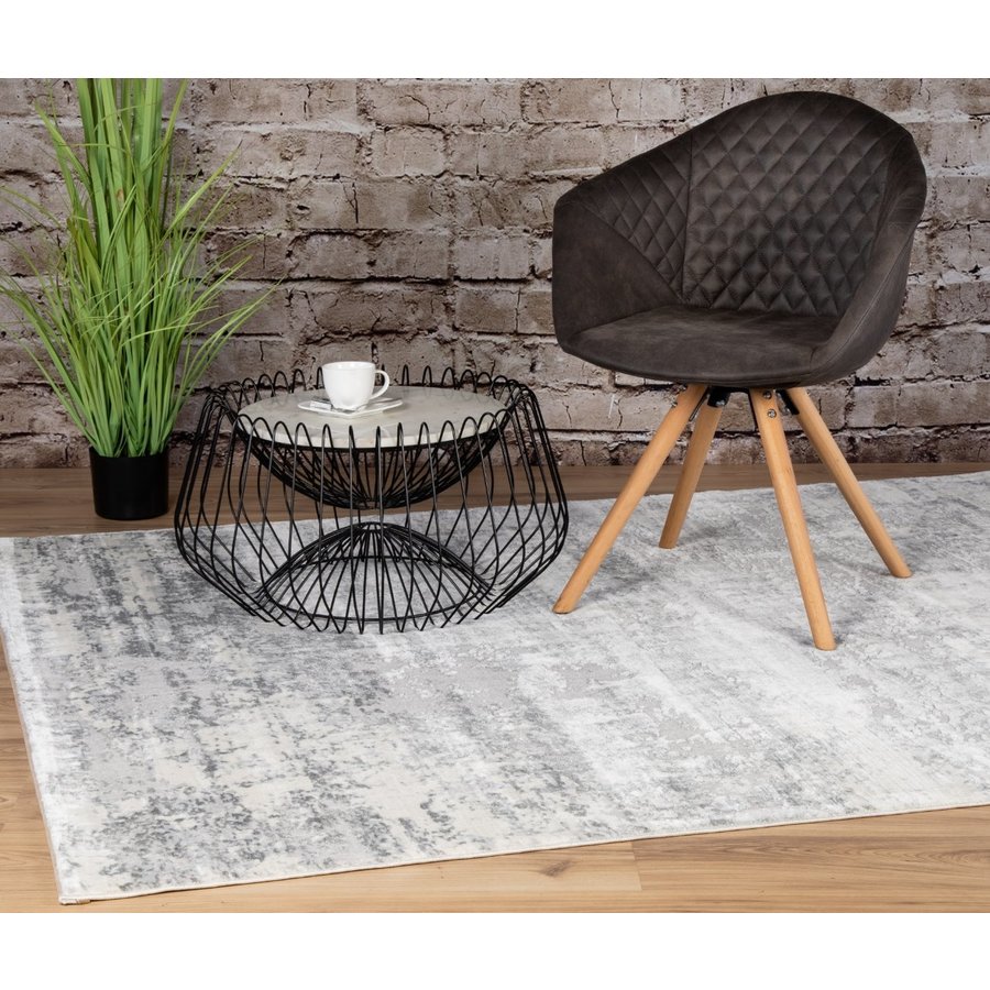 Paris 200 x 290 cm Vloerkleed Zilver 503 Paris 200 x 290 cm Vloerkleed Zilver 503