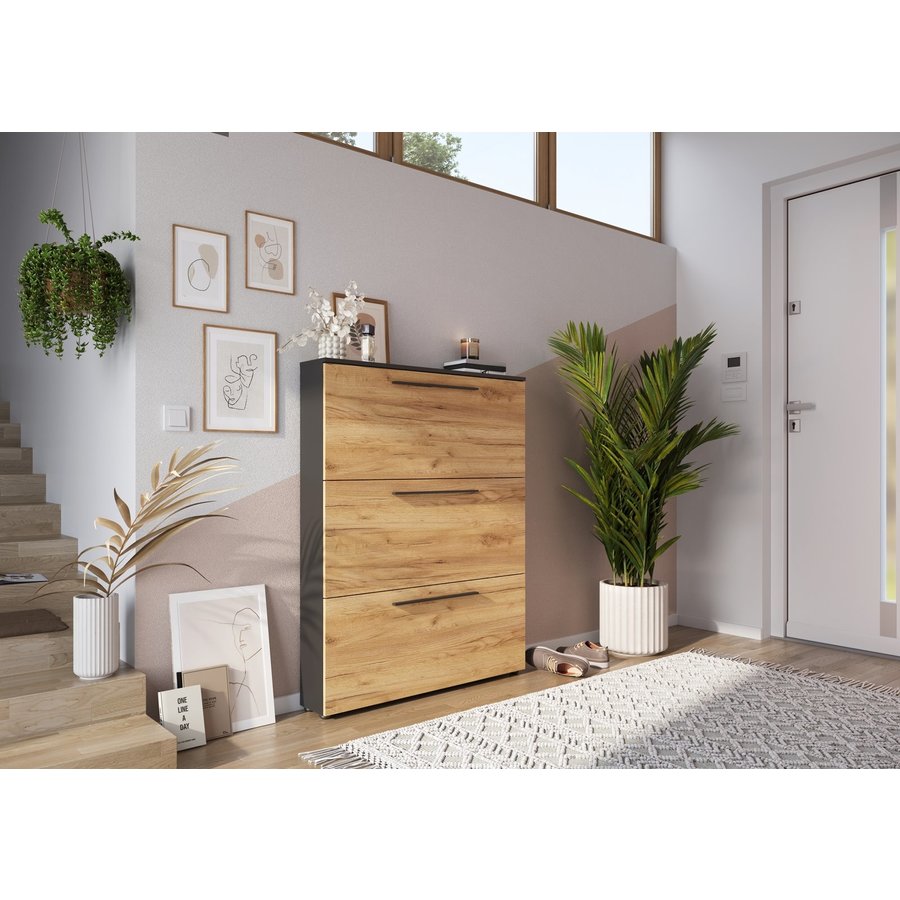 Wildomar Schoenenkast 3 Kleppen Grafiet / Eiken Wildomar Schoenenkast 3 Kleppen Grafiet / Eiken