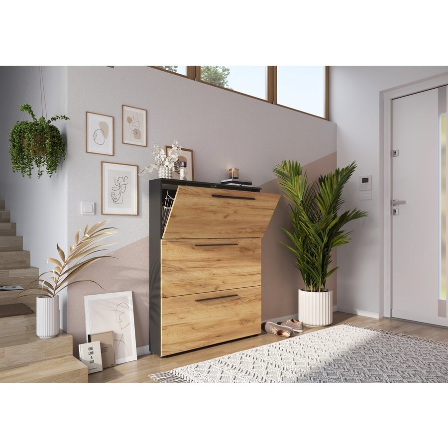 Wildomar Schoenenkast 3 Kleppen Grafiet / Eiken Wildomar Schoenenkast 3 Kleppen Grafiet / Eiken