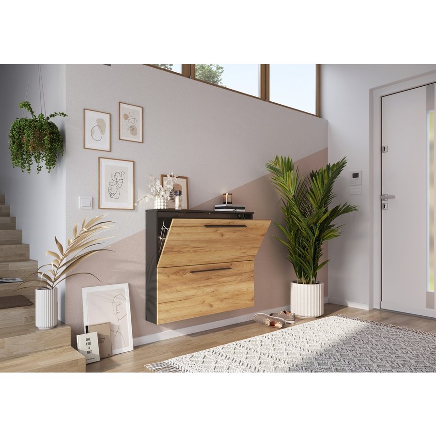 Wildomar Schoenenkast 2 Kleppen Grafiet / Eiken Wildomar Schoenenkast 2 Kleppen Grafiet / Eiken