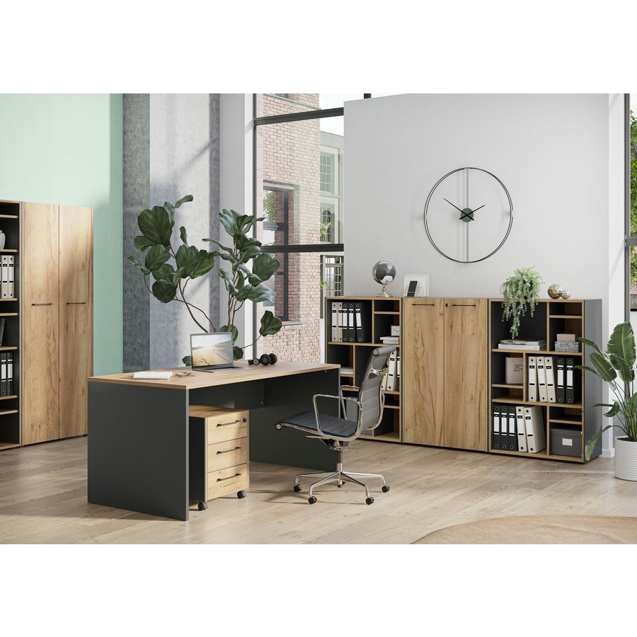 Pasadena Plank Verdelers Grafiet/Eiken 3 Stuks