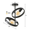 Hover Plafondlamp 2L