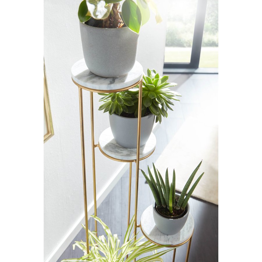 Runder Plantentafel Marmer / Goud Runder Plantentafel Marmer / Goud