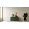 Elva Soft Pro 123 cm Dressoir Groen