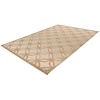 Amira 120 x 170 cm Vloerkleed Beige 203