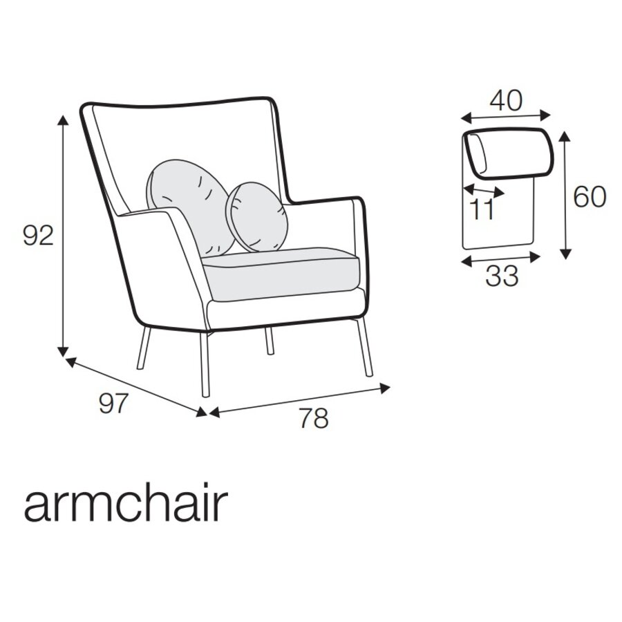 Disa Aniline Leer Fauteuil Disa Aniline Leer Fauteuil