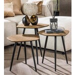 Davidi Design Chezelle Organische Salontafel Set van 3 Brons Davidi Design Chezelle Organische Salontafel Set van 3 Brons