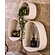 Stone Organic Wandschap Set van 3 Druppel