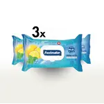 Lemon Natte Doekjes Voordeelbundel - 3x120 Stuks | Alcoholvrij, pH-gebalanceerd, Dermatologisch Getest Lemon Natte Doekjes Voordeelbundel - 3x120 Stuks | Alcoholvrij, pH-gebalanceerd, Dermatologisch Getest