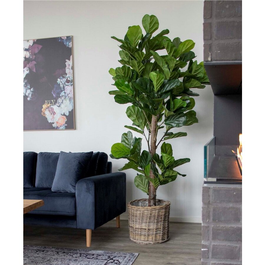 Fiddle Bladboom Kunstplant H190 cm Fiddle Bladboom Kunstplant H190 cm