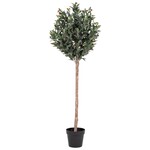 House Nordic Olijfboom Kunstplant H150 cm House Nordic Olijfboom Kunstplant H150 cm