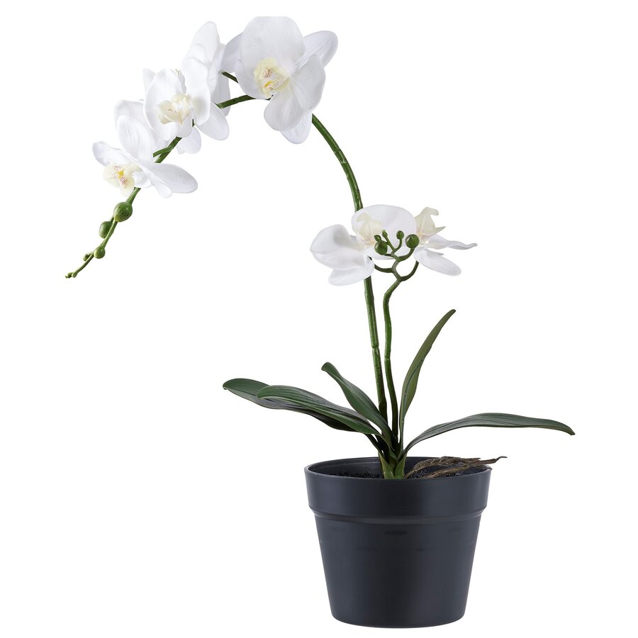 Orchidee Kunstplant Groen/Wit H49 cm Orchidee Kunstplant Groen/Wit H49 cm