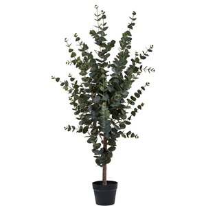 House Nordic Eucalyptusbomen Kunstplant H120 cm