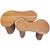 Fuse Organisch Salontafel Set Massief Acacia