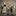 Davidi Design Tube Mesh Vloerlamp Artic Zwart 5L Getrapt