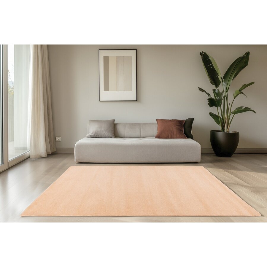 Trendy Uni 120 x 170 cm Vloerkleed Perzik Trendy Uni 120 x 170 cm Vloerkleed Perzik