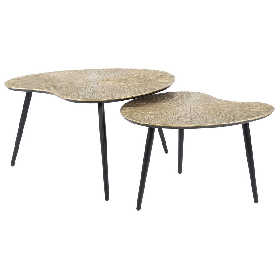 Ray Metal Salontafel Set Niervormig Ray Metal Salontafel Set Niervormig