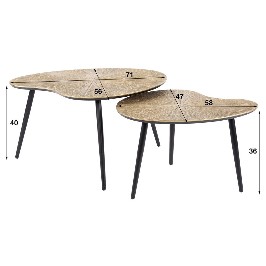 Ray Metal Salontafel Set Niervormig Ray Metal Salontafel Set Niervormig