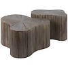 Maya Shamrock Salontafel Set van 2 Teak