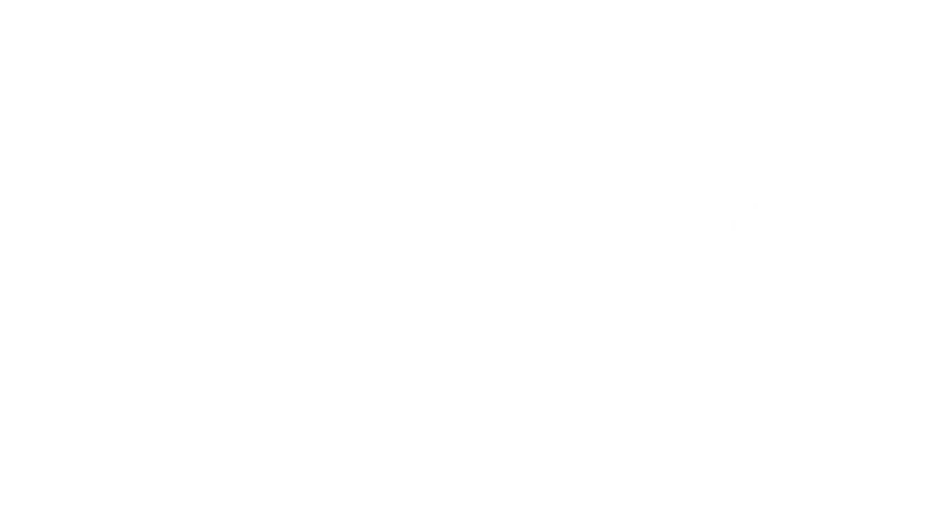 Rentevrij gespreid betalen met Alma