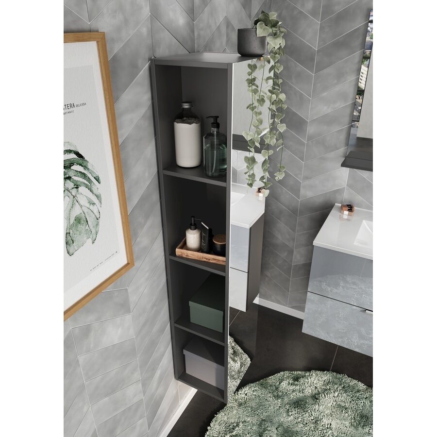 Vasio Grafiet Badkamerkast met Spiegel