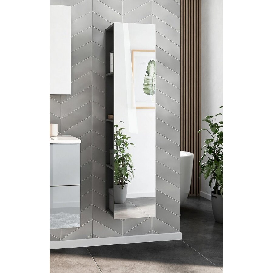 Vasio Grafiet Badkamerkast met Spiegel