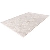 Jardin 200x290 cm Vloerkleed Beige/Zilver 701