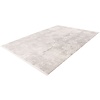 Jardin 200x290 cm Vloerkleed Zilver/Ivory 702