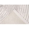 Jardin 160x230 cm Vloerkleed Zilver/Ivory 702
